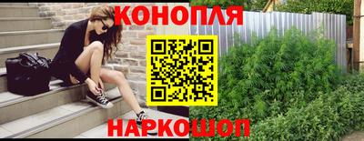 шишки Кандалакша