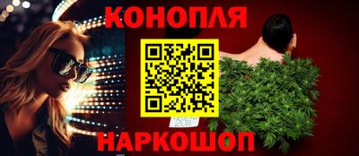 шишки Кандалакша