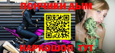 шишки Кандалакша