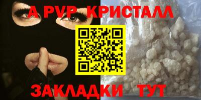 шишки Кандалакша