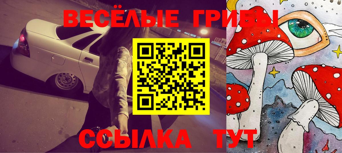Галлюциногенные грибы Cubensis Стрежевой