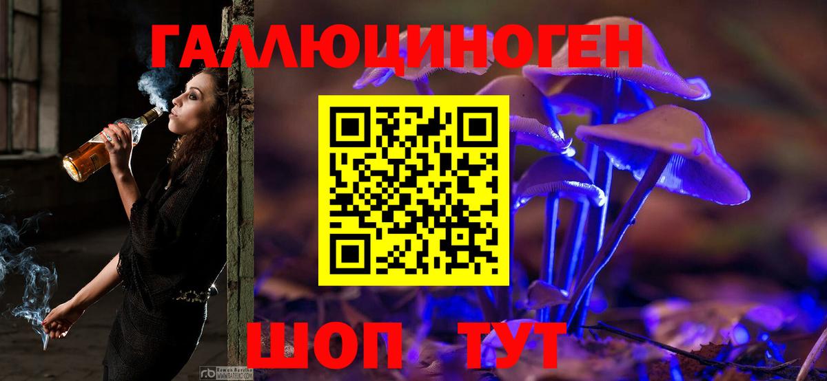 Стрежевой  Галлюциногенные грибы Psilocybe  Вход с VPN 